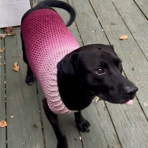 Stylish Pink Dog Sweater